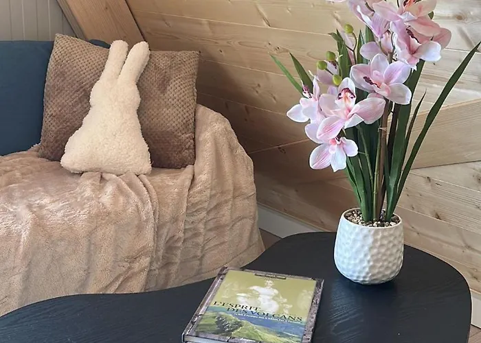 Laguiole-aubrac Appartement *