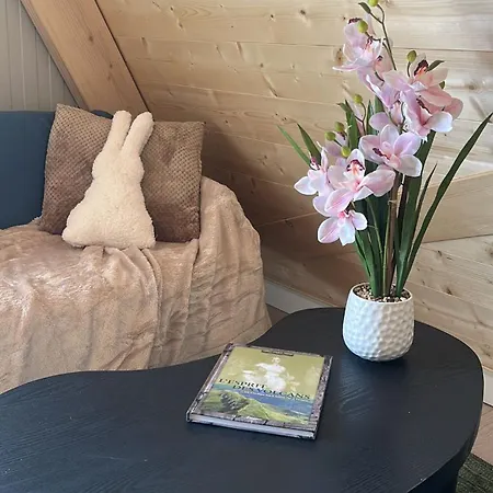 Laguiole-aubrac Apartment *